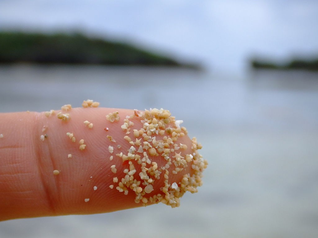 1024px-Star_sand_Iriomote