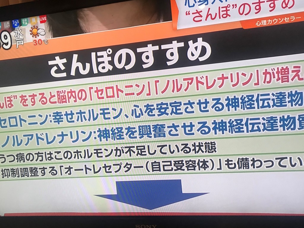 さんぽ