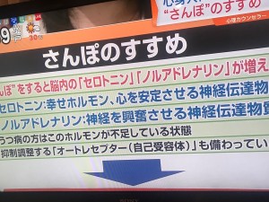 さんぽ