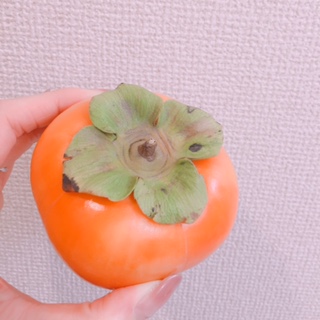 柿