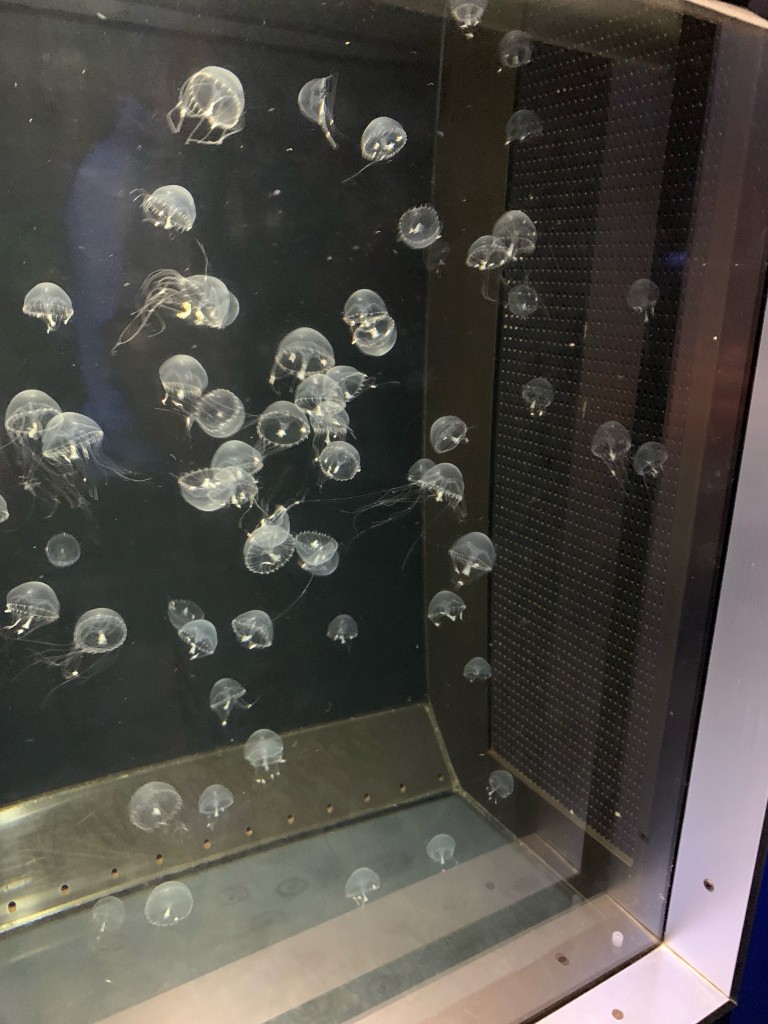 44A5484F-801B-42C2-8288-FAA0E3242B45