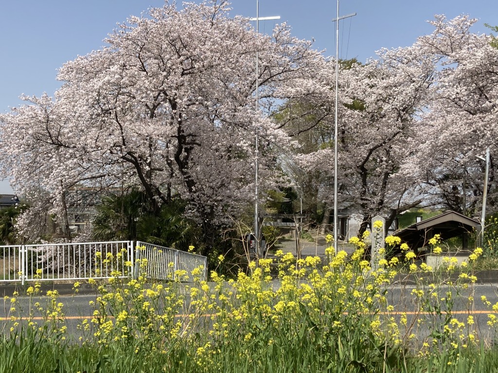 A2856945-CB0C-4B04-95DD-EA1E063E1354