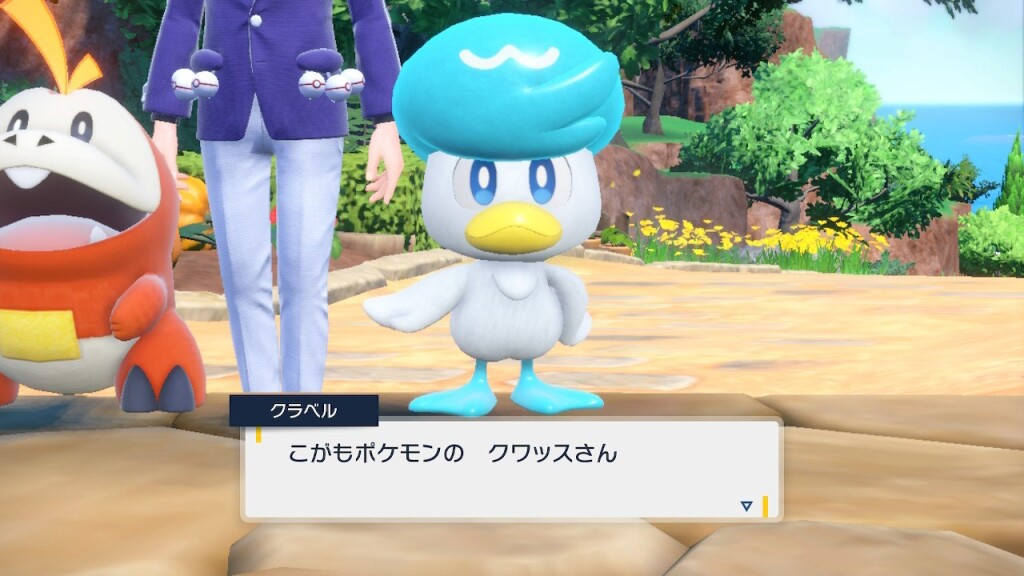 クワッス