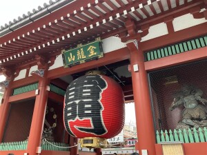 Image (12)