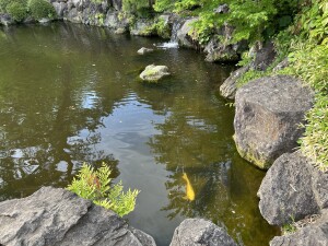 Image (4)