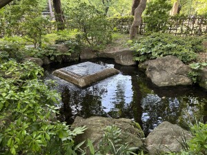 Image (5)