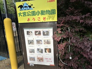 Image (9)