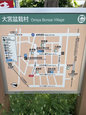 shared image (11)