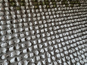IMG_7576