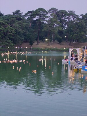 shared image (11)