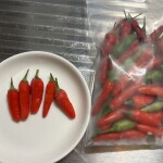 1AFDFAC0-AD8E-4FA7-8841-5D50CA06BB7D