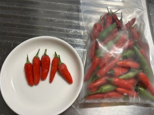 1AFDFAC0-AD8E-4FA7-8841-5D50CA06BB7D