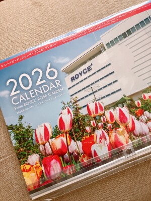 Image - 2025-11-25T161912.856