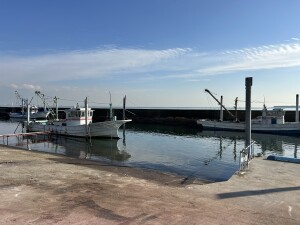 0395D497-3CAE-4773-9EB4-EBC91532C468