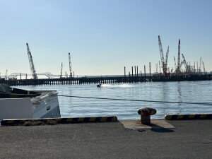 962BCC83-886C-442F-B4CD-FA1FDB7E584D