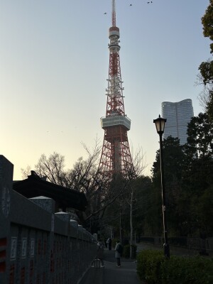 50C97D2B-B6B1-437D-A9CA-6545BE713F95