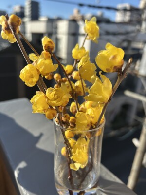 6C28A23B-2AB2-41AD-9E0B-9A1697ED96C4