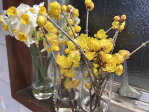 880F7CDC-4717-4DE5-8FFE-293E72857F69