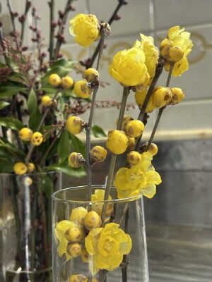 BEC65FC9-F14B-4772-A60B-92520333136E