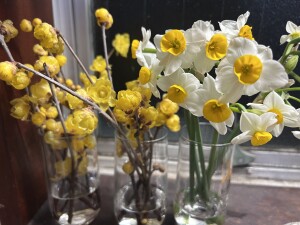 C40E48F8-6E9C-41EC-A19C-F6D9BCC5AAC2