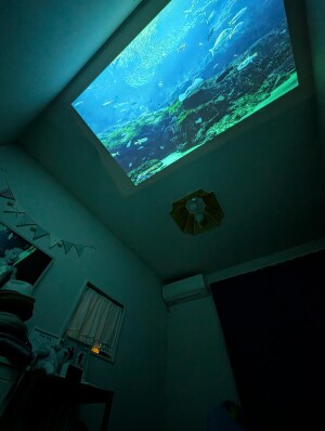 選択した写真 (1)