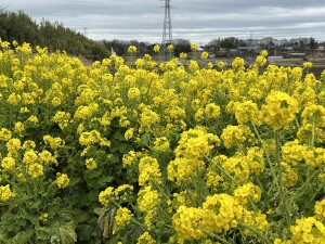 257218E1-0DD9-4D30-8C84-B7AA20CEC02B