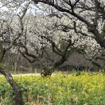 25D19918-1AEE-4ED5-9F46-4DAB398E960D