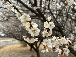 AD749F48-D495-4C2E-9713-B1C850D0FCA4