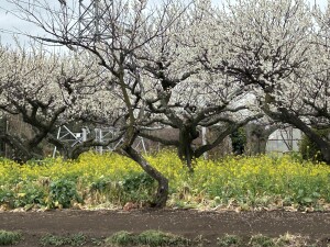 F08FC7AC-3A36-4279-804B-F6AB3608EB24