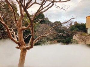 Image - 2026-03-17T140330.985