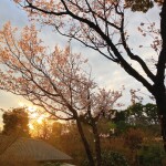 Image - 2026-03-17T140334.226