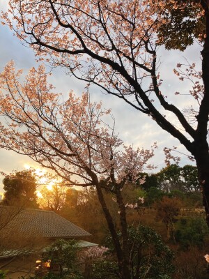 Image - 2026-03-17T140334.226