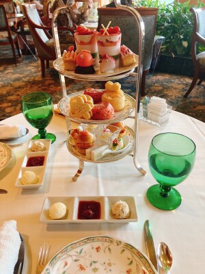 Image - 2026-03-17T140337.442