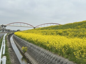 8D80E433-766E-41FA-9AD9-283B8E1324F8