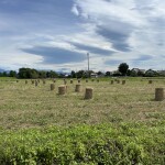 2FB3C978-F415-4DD6-B28E-CD16FD3CB660