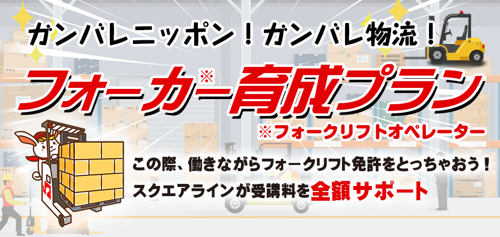 フォーカー育成プラン